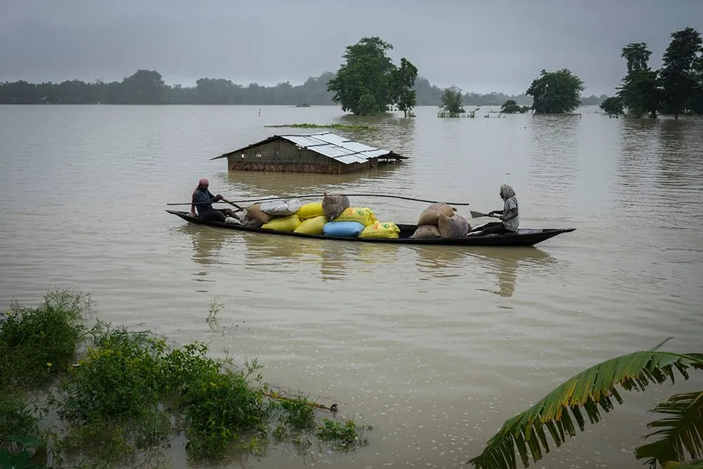 | Photo: AP/Anupam Nath : Assam floods